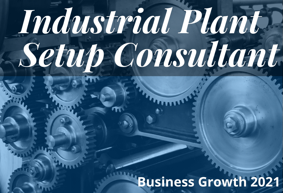 Industrial Plant Setup Consultant