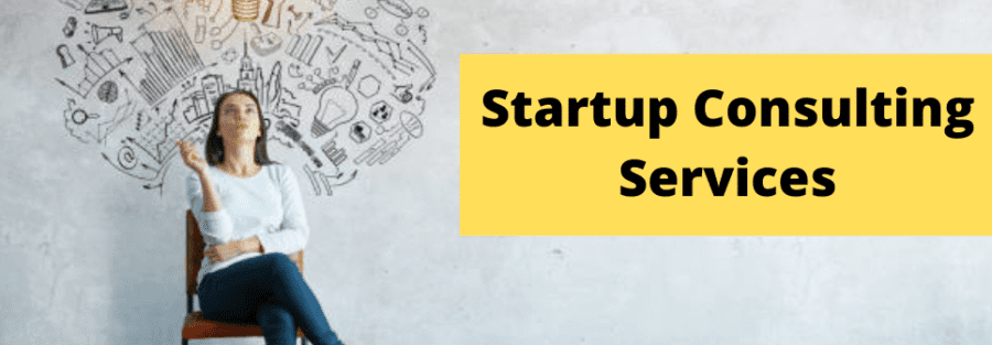 Startup consulting Services
