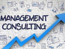 download Best Business Managemnt Consulting firm in india